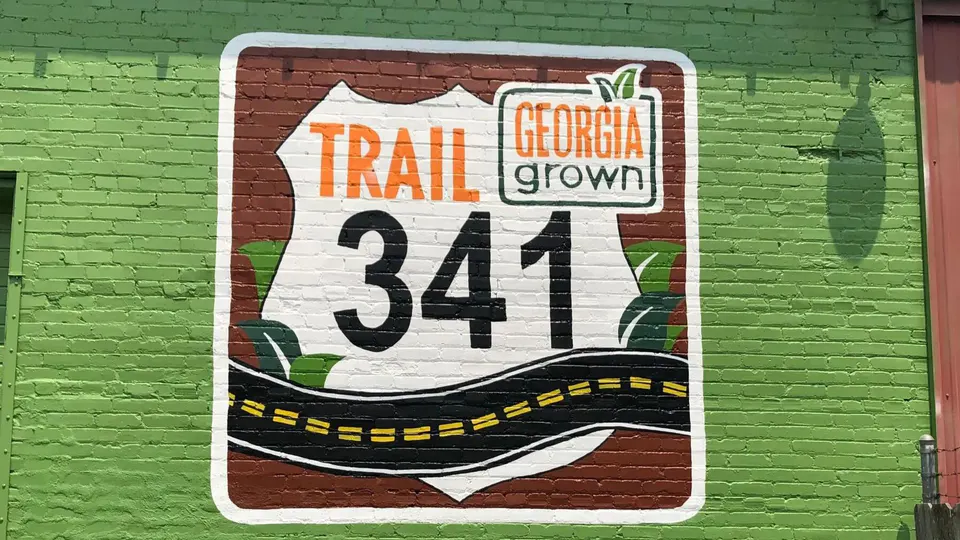 Natural disasters a threat to Georgia
