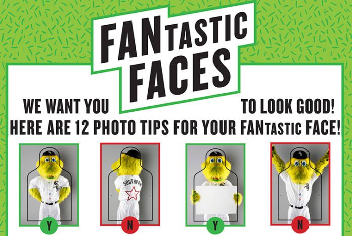 white sox fans in stands