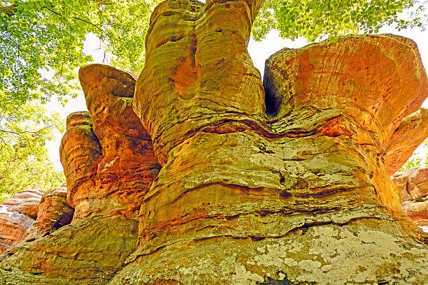 Sandstone formations in the Garden of the Gods in Shawnee National Forest