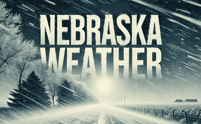 2812A3A3-0FB1-4EF9-86A8-7E04A0EEBEB9