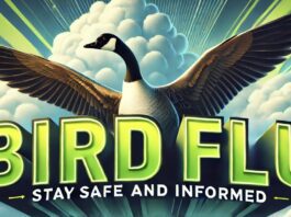 Missouri Health Alert Today: 27 Farm Workers Reportedly Showing H5N1 Symptoms, Sources Say