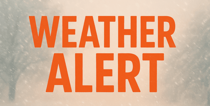 argImage May 6, 2025, 02_38_24 AM