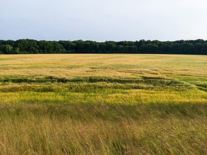 orland grasslands