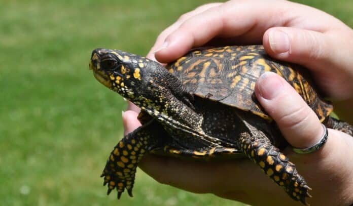 Screenshot_9-7-2025_18547_outlook.office.com