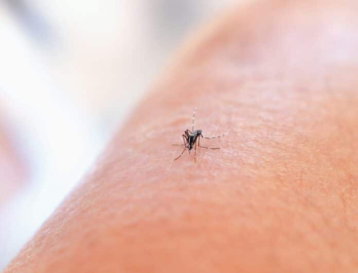mosquito control application