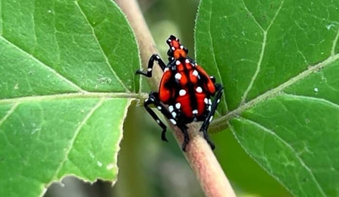 Screenshot_13-8-2025_3277_www.facebook.com