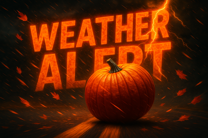 7fa609f8-f2a9-4e98-aab8-32251e087b2c