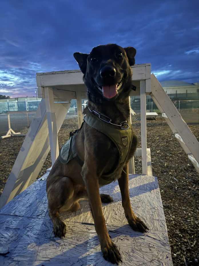 577015238_1267649358735423_2420976309613129443_n