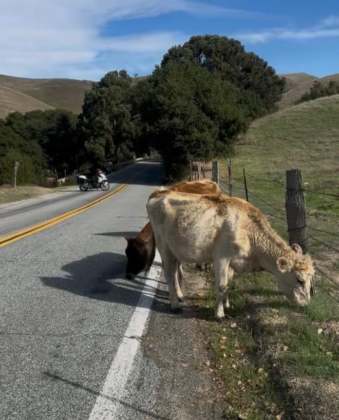 577066997_1246363797529682_8379760337950030645_n