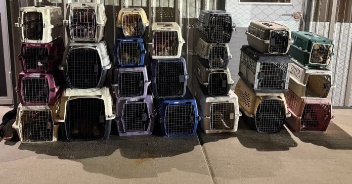 577553935_1216460317173663_2851261644296844558_n