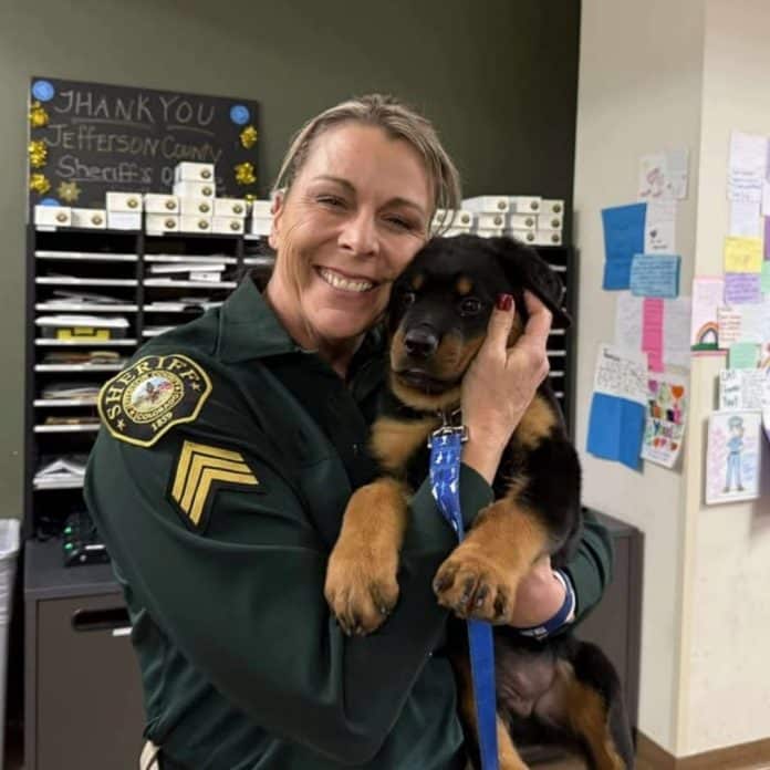 581067612_1227423192752121_3442877719071807058_n