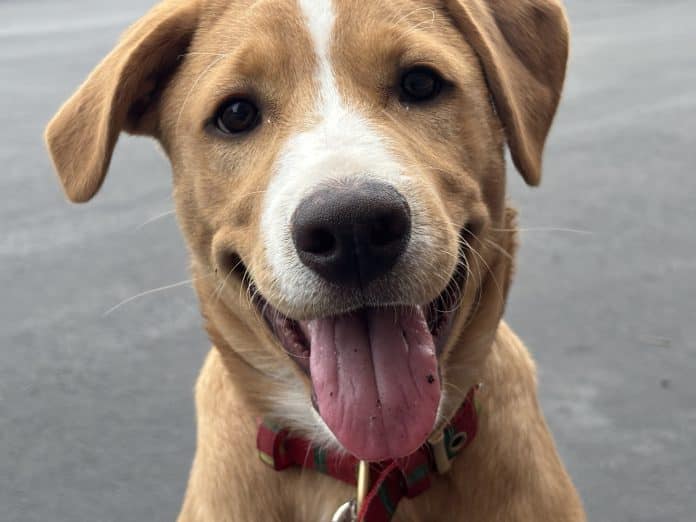 581173158_1217941500381554_9052933371294242123_n