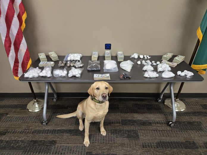 582810058_1148106537513784_4832822853530662505_n