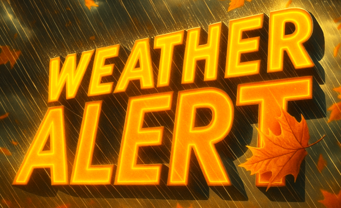 88c0d80c-17a9-4416-abfd-b98c36ae2e75