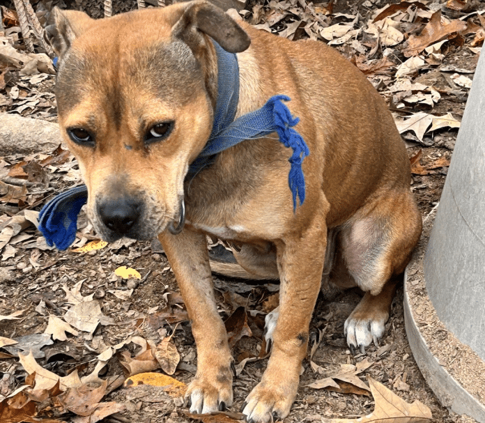 Screenshot 2025-11-07 at 2.18.21 PM