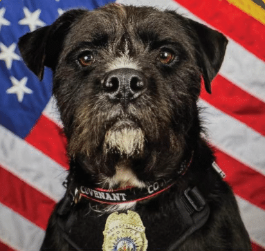 Screenshot 2025-11-08 175538