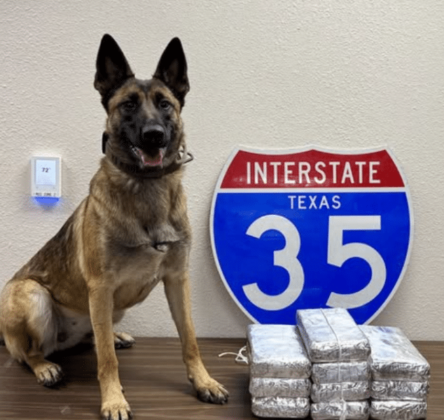 Screenshot 2025-11-14 210647