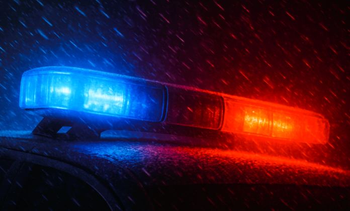 29a7651a-9fdc-4360-9f64-4b10fcdd8d2b