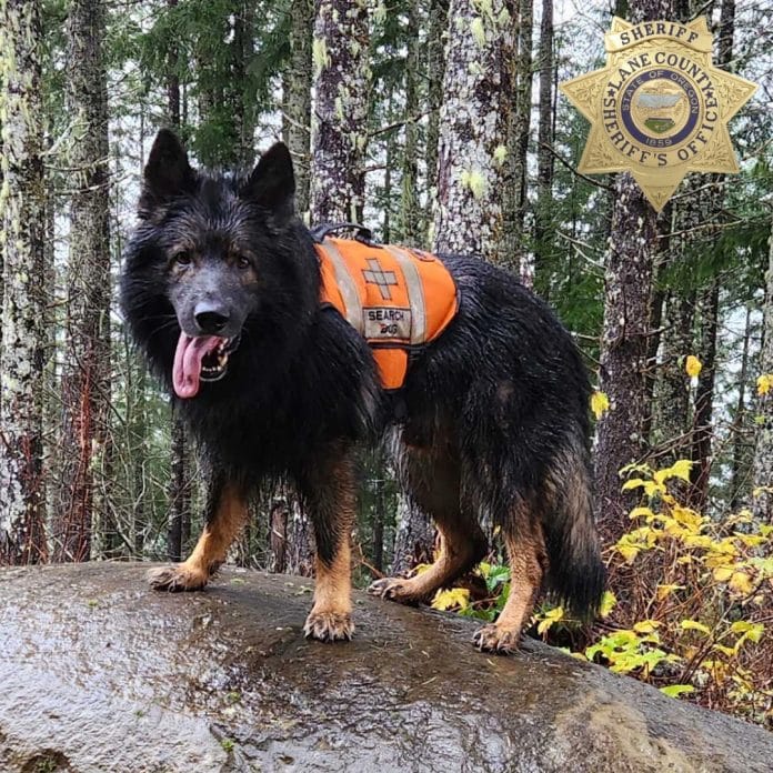 595294360_1266652158840846_6240316761212256283_n