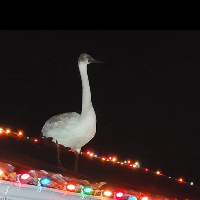 596968799_1347567877409822_6455742107876403189_n