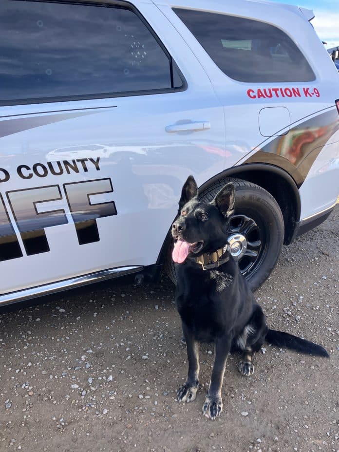 597304532_1305831261588805_994031172458971376_n