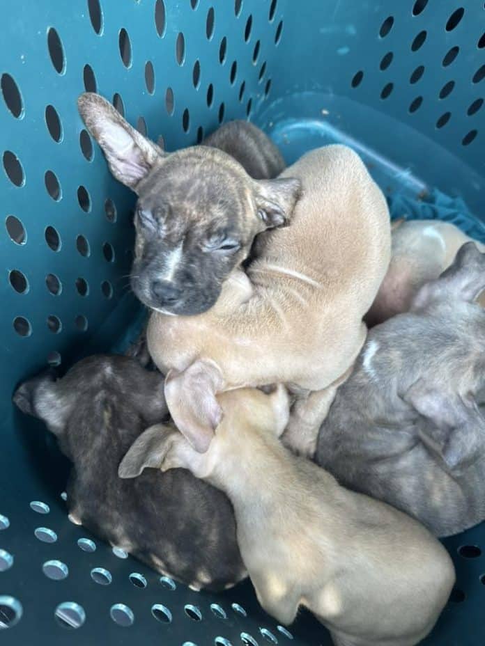 597844577_1170951051885924_4427591326883638942_n