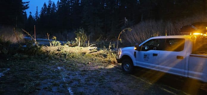 600260790_1331130159058470_3842260669177770378_n