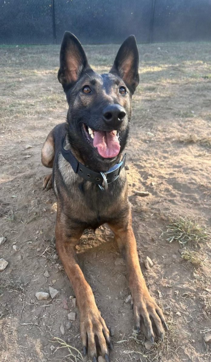 607493995_1205342581726686_293908445409233279_n