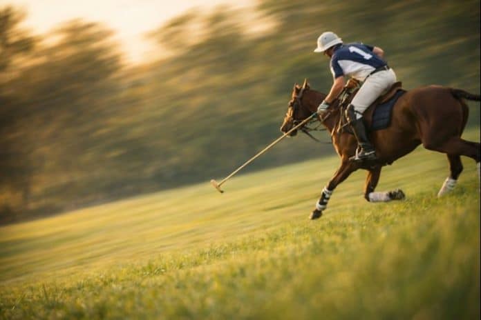 8716e81b-4e18-4d96-a557-25ba21606605-md