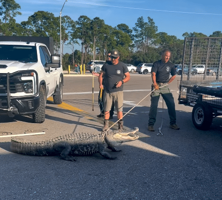 Screenshot 2025-12-09 140931