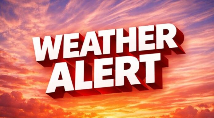 5ed03789-f0ed-4866-9744-564b255c04e0-md