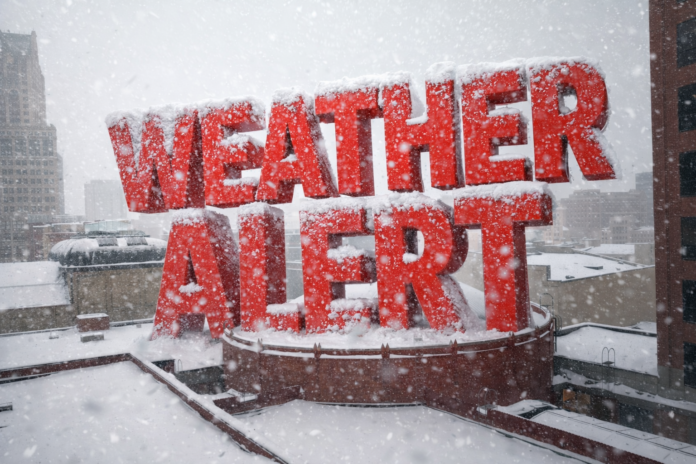 Photo Jan 27 2026, 2 01 33 AM (1)