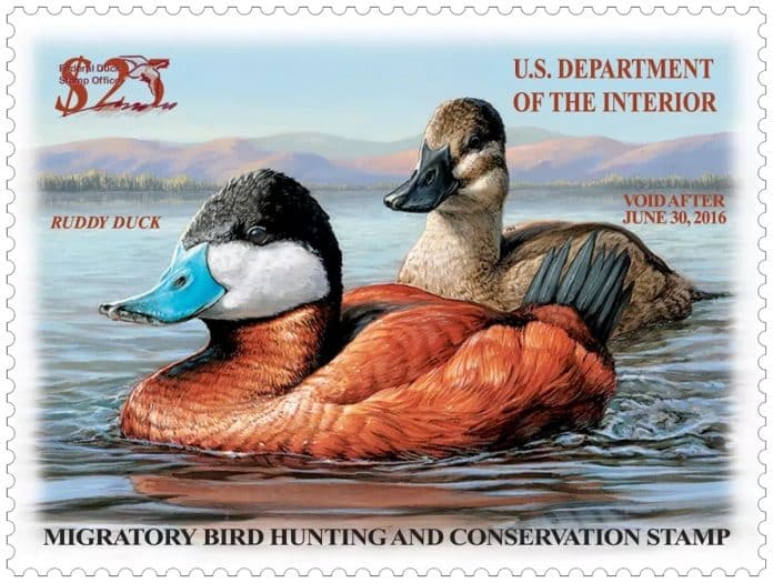 duck-stamp
