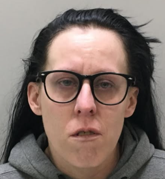 Screenshot 2026-02-20 192053