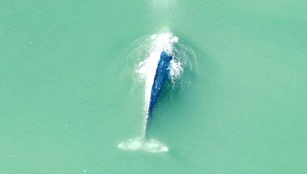 Screenshot_7-4-2026_19236_www.facebook.com